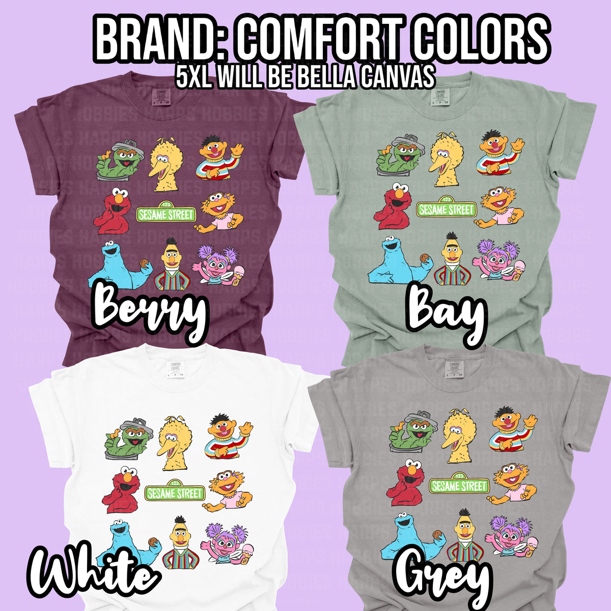 Sesame Street Tshirt (adult)