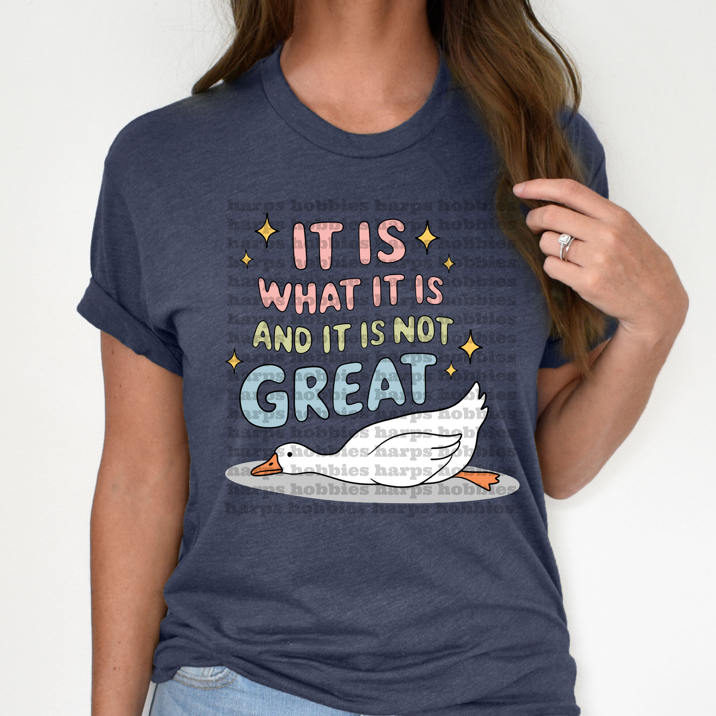 It is what it is (tshirt/hoodie/sweatshirt/longsleeve)