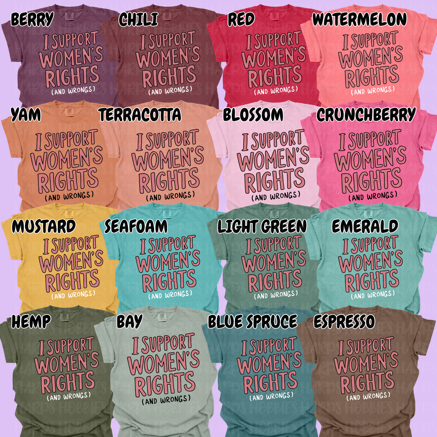 Womens rights and wrongs (tshirt/hoodie/sweatshirt/longsleeve)