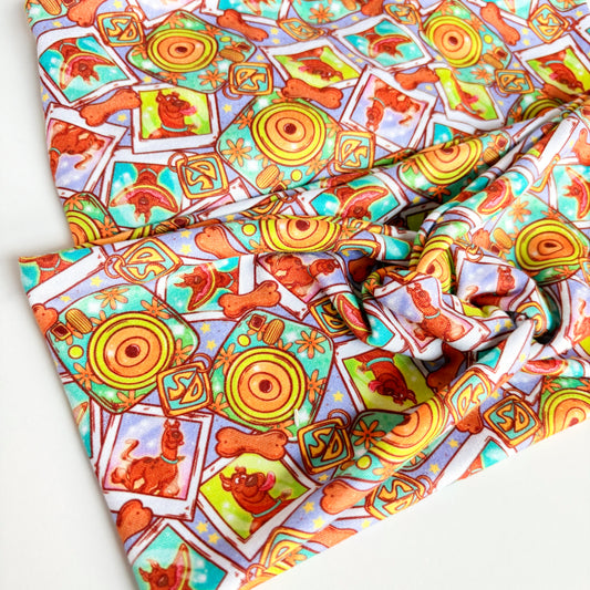 Polaroid Pup Headband