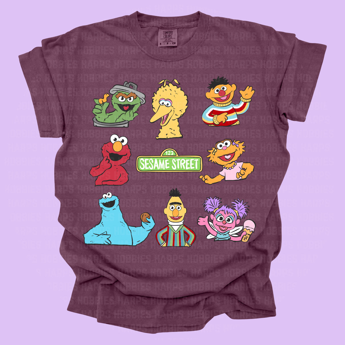 Sesame Street Tshirt (adult)
