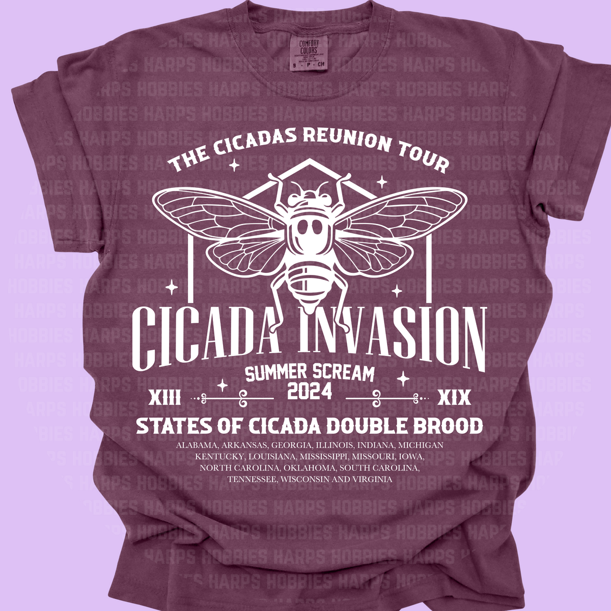Cicada Reunion Tour Tshirt