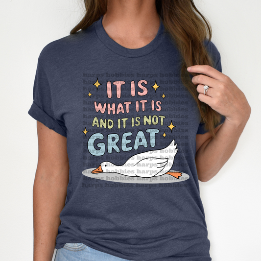 It is what it is (tshirt/hoodie/sweatshirt/longsleeve)