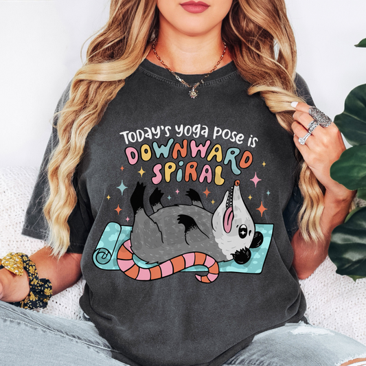 Downward Spiral (tshirt/sweatshirt)