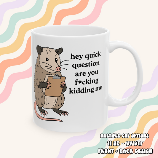 Hey Quick Question Mug