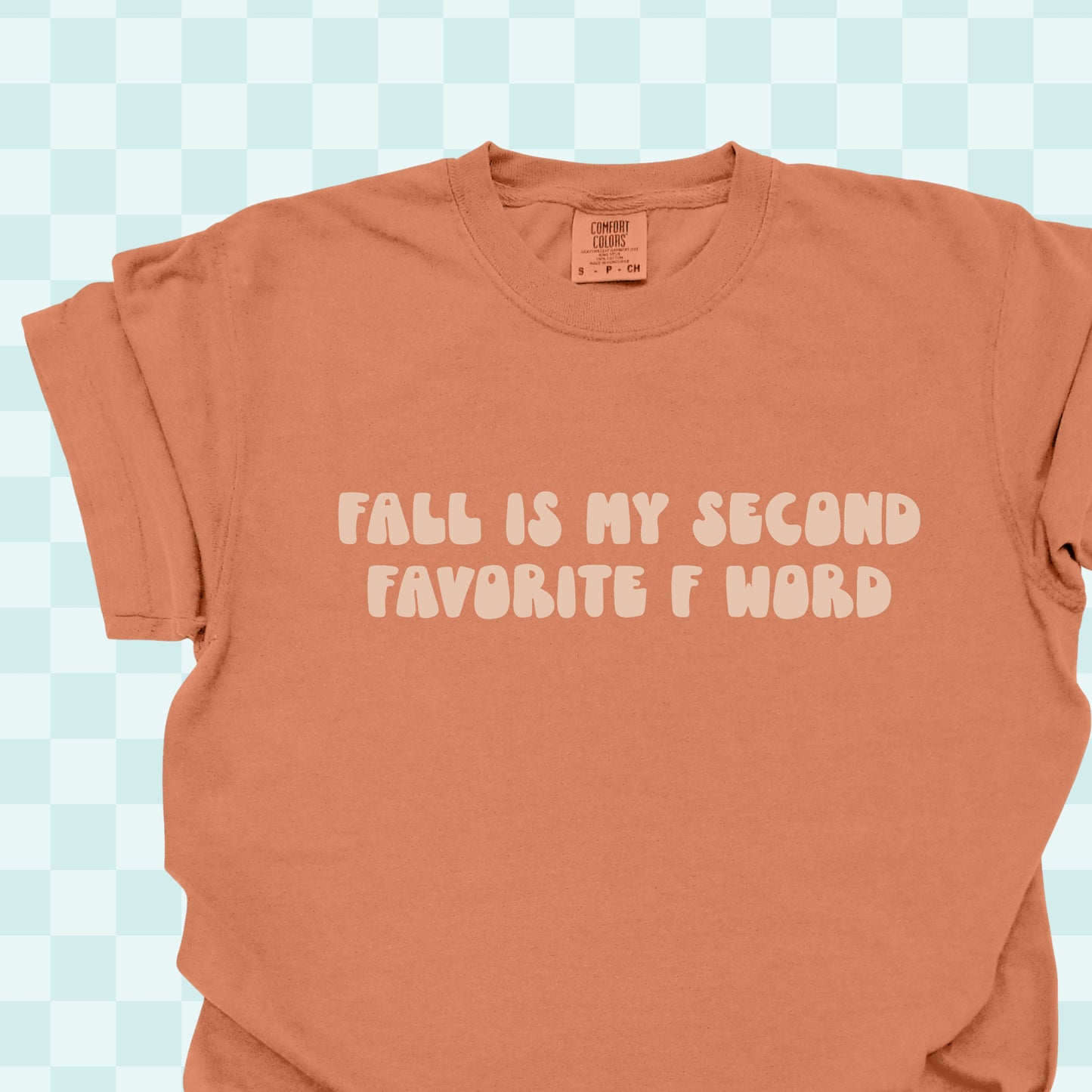 Second Favorite F Word Tshirt/Sweatshirt