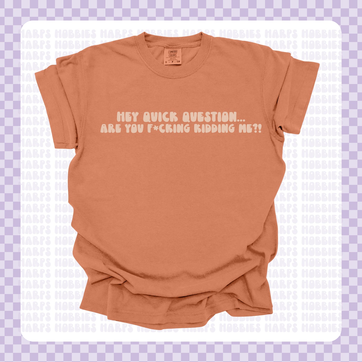Hey are you kidding me?!  Tshirt/Sweatshirt