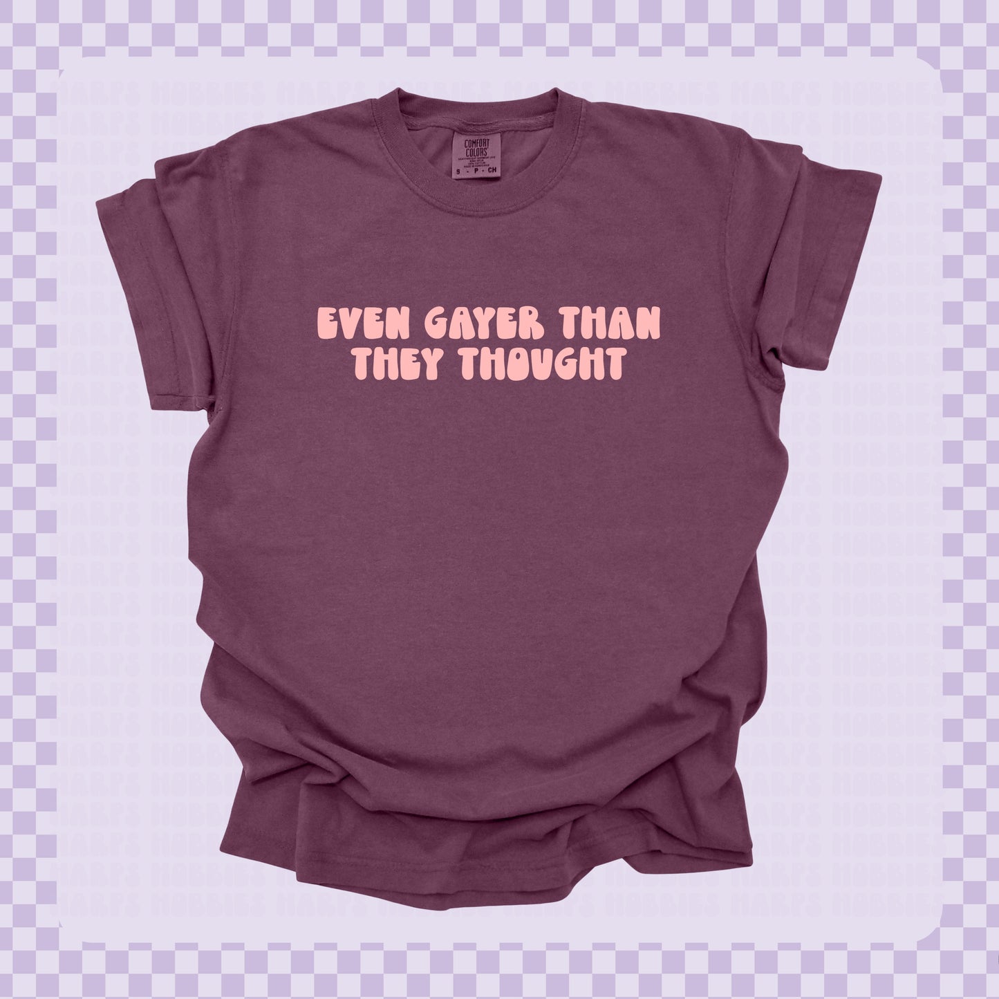 Gayer than they thought Tshirt/Sweatshirt