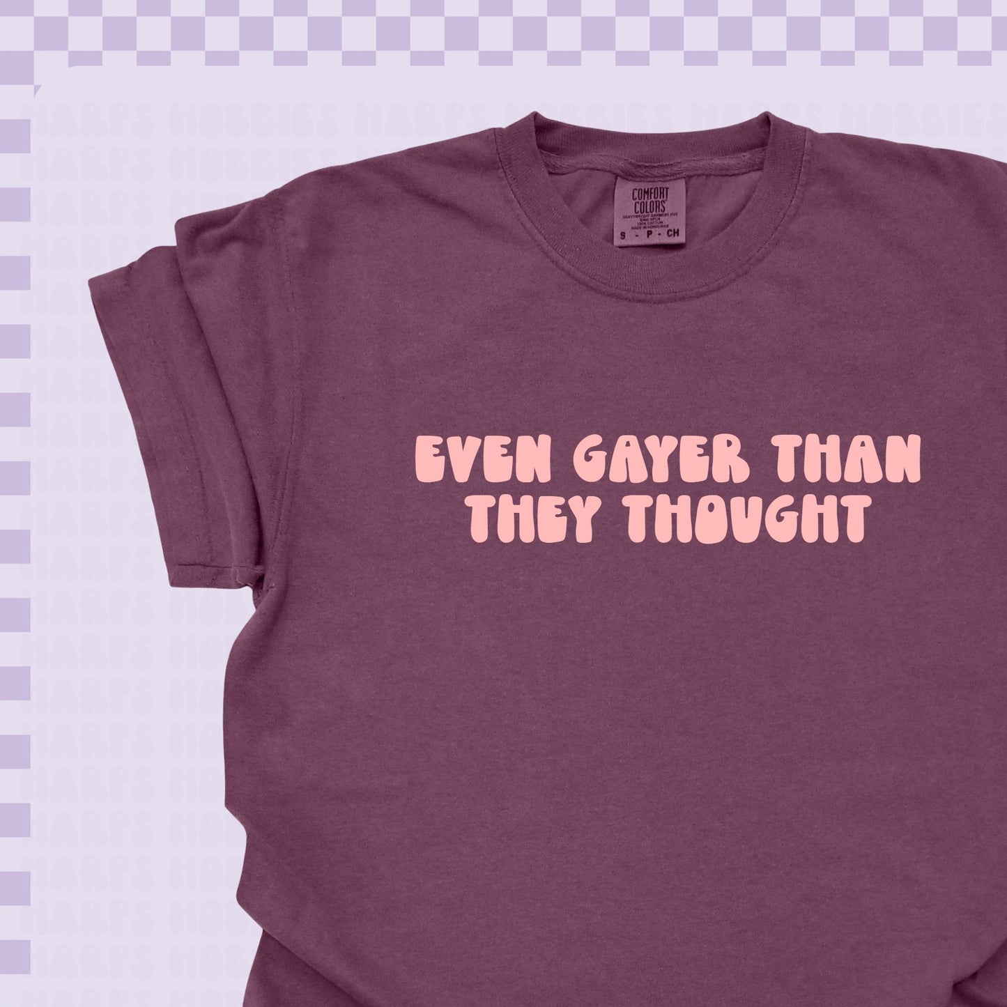 Gayer than they thought Tshirt/Sweatshirt