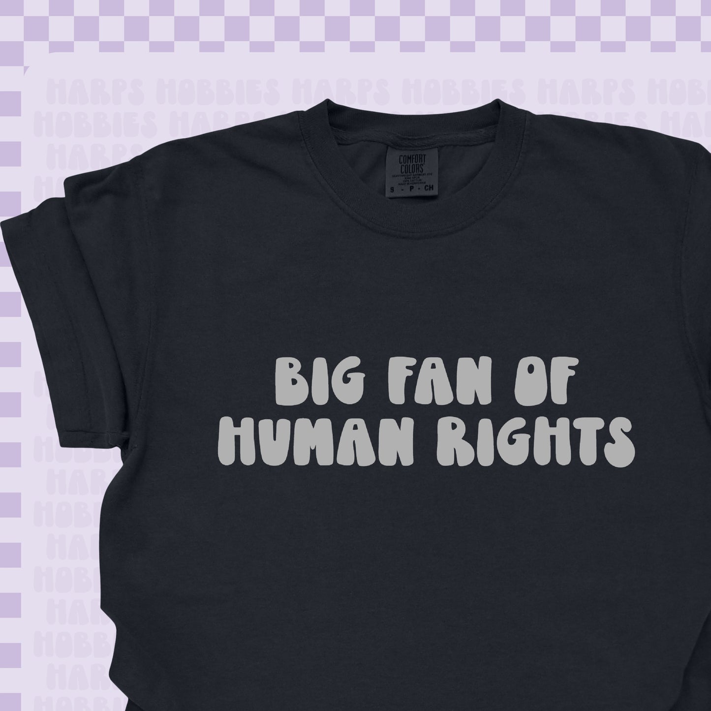 Big Fan of Human Rights Tshirt/Sweatshirt