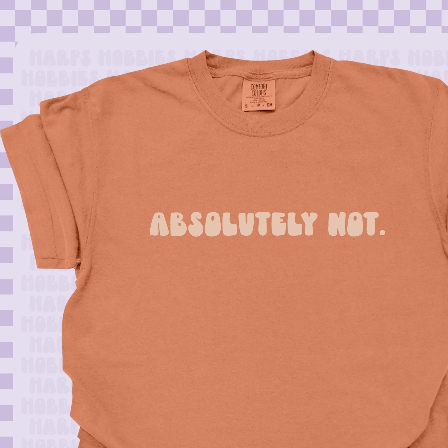 Absolutely Not Tshirt/Sweatshirt