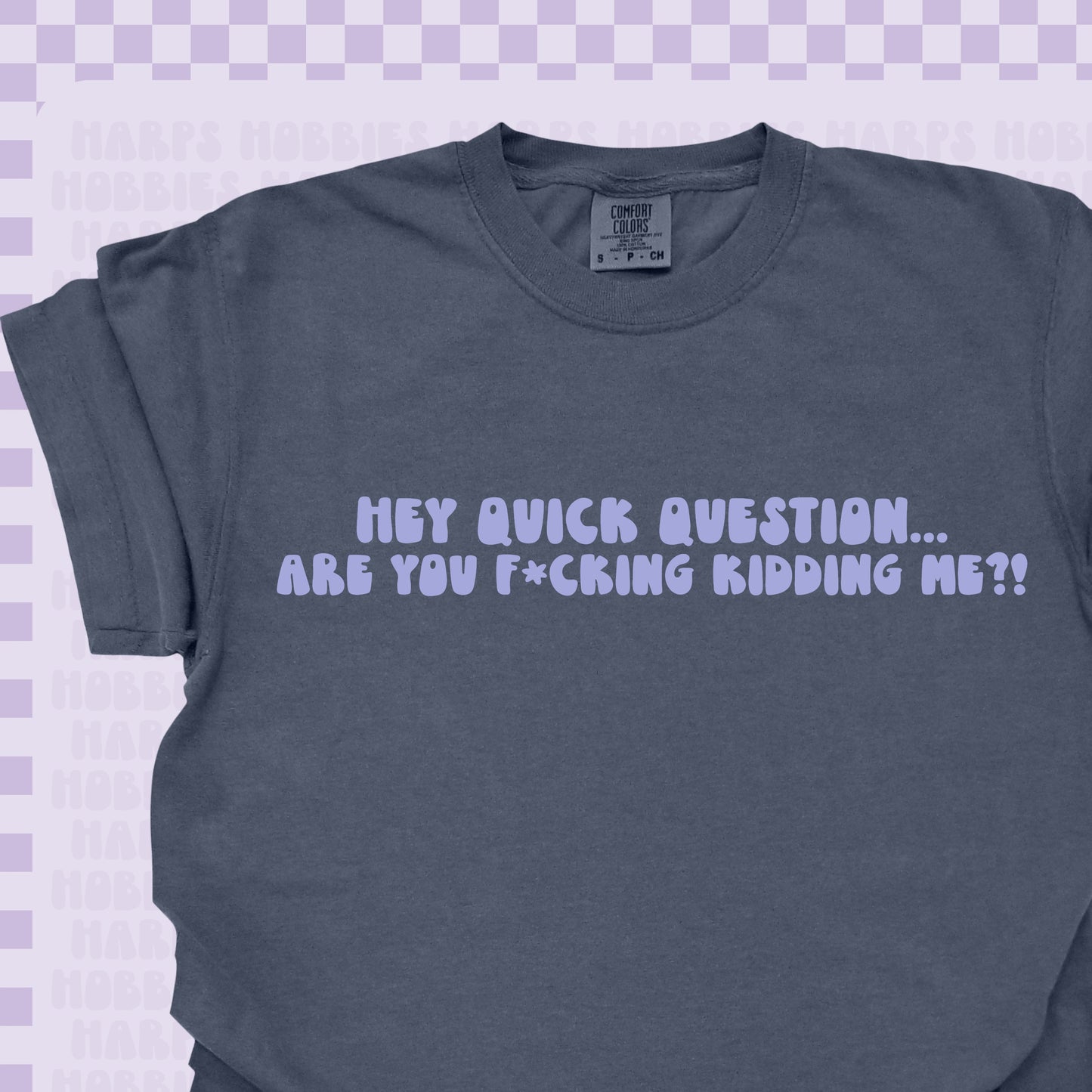 Hey are you kidding me?!  Tshirt/Sweatshirt