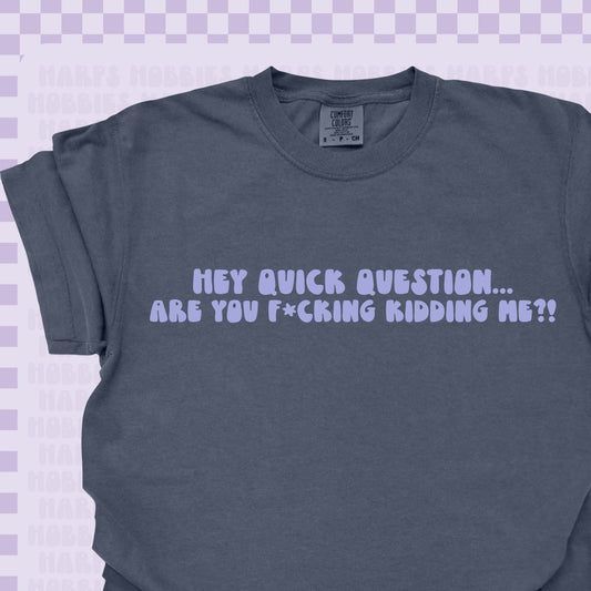 Hey are you kidding me?!  Tshirt/Sweatshirt