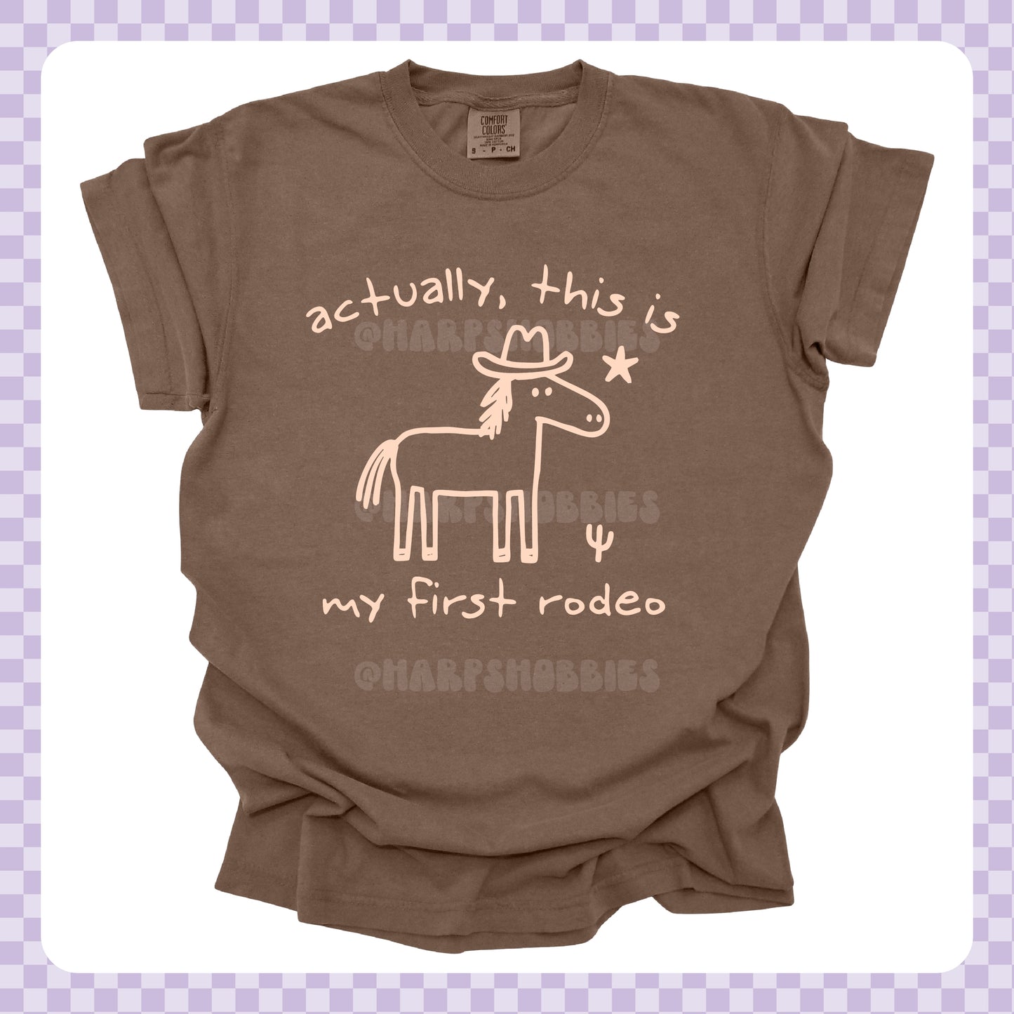 Actually My 1st Rodeo Tshirt/Sweatshirt