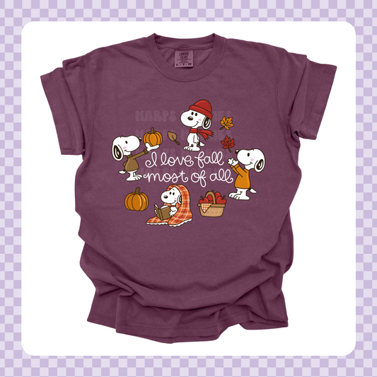 I love Fall Most of All Tshirt/Sweatshirt/Long Sleeve